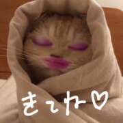 ヒメ日記 2026/03/01 14:29 投稿 れい みつばちマーヤZ