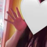 ヒメ日記 2026/03/31 15:06 投稿 れい みつばちマーヤZ