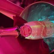 ヒメ日記 2026/04/15 01:16 投稿 れい みつばちマーヤZ