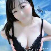 ヒメ日記 2025/07/20 08:21 投稿 あげは 三重四日市ちゃんこ