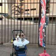 ヒメ日記 2025/08/27 18:01 投稿 こはね 僕らのぽっちゃリーノin野田