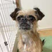 ヒメ日記 2025/07/04 18:20 投稿 こはね 僕らのぽっちゃリーノin春日部