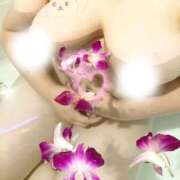 ヒメ日記 2025/07/21 18:20 投稿 こはね 僕らのぽっちゃリーノin春日部