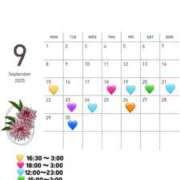 ヒメ日記 2025/09/15 01:04 投稿 せり シャブール