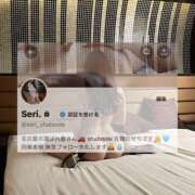 せり せりについて🕊️ シャブール