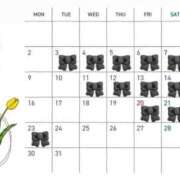 ヒメ日記 2026/02/20 22:35 投稿 せり シャブール