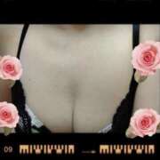 ヒメ日記 2025/10/12 11:02 投稿 しょうこ ギン妻パラダイス 和歌山店