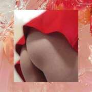 ヒメ日記 2025/11/18 09:55 投稿 しょうこ ギン妻パラダイス 和歌山店