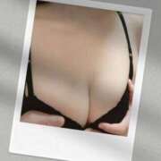 ヒメ日記 2026/01/19 11:01 投稿 しょうこ ギン妻パラダイス 和歌山店