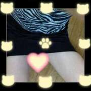 ヒメ日記 2026/02/12 20:34 投稿 しょうこ ギン妻パラダイス 和歌山店