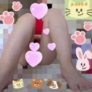 ヒメ日記 2026/02/22 11:37 投稿 しょうこ ギン妻パラダイス 和歌山店