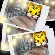 ヒメ日記 2026/02/25 15:51 投稿 しょうこ ギン妻パラダイス 和歌山店