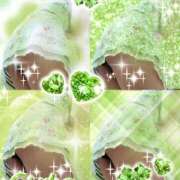 ヒメ日記 2026/03/22 14:09 投稿 しょうこ ギン妻パラダイス 和歌山店