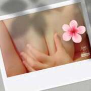 ヒメ日記 2026/03/30 15:05 投稿 しょうこ ギン妻パラダイス 和歌山店