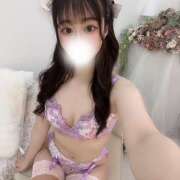 ヒビキ 会いに来てね 姫路ラビット