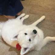 ヒメ日記 2025/10/11 20:00 投稿 まお ヒルズスパ　梅田＋