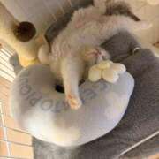 ヒメ日記 2026/02/05 17:35 投稿 まお ヒルズスパ　梅田＋