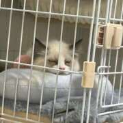 ヒメ日記 2026/02/23 18:01 投稿 まお ヒルズスパ　梅田＋