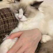 ヒメ日記 2026/07/07 12:28 投稿 まお ヒルズスパ　梅田＋