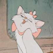 ヒメ日記 2025/06/28 11:54 投稿 つゆ アクアマリン