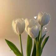 ヒメ日記 2025/09/25 13:50 投稿 つゆ アクアマリン