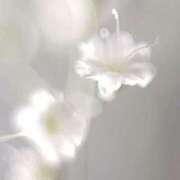 ヒメ日記 2025/09/29 13:57 投稿 つゆ アクアマリン