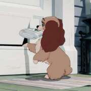 ヒメ日記 2025/11/19 14:02 投稿 つゆ アクアマリン