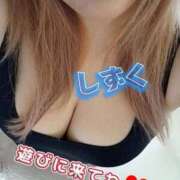 ヒメ日記 2025/09/17 14:59 投稿 しずく 鹿児島ちゃんこ 天文館店