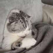 ヒメ日記 2026/01/28 18:03 投稿 かんな 鹿児島ちゃんこ霧島店