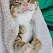 ヒメ日記 2026/02/25 15:29 投稿 かんな 鹿児島ちゃんこ霧島店