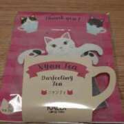 ヒメ日記 2025/08/18 17:41 投稿 ちひろ eroina