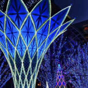 ヒメ日記 2025/06/25 18:35 投稿 うた先生 女教師