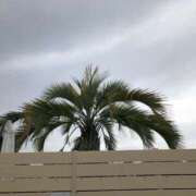 ヒメ日記 2025/06/26 10:05 投稿 うた先生 女教師