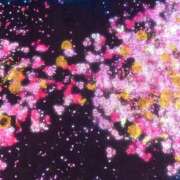 ヒメ日記 2025/07/06 15:15 投稿 うた先生 女教師