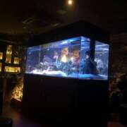 ヒメ日記 2025/07/07 12:15 投稿 うた先生 女教師