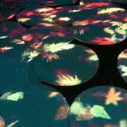 ヒメ日記 2025/07/07 18:05 投稿 うた先生 女教師