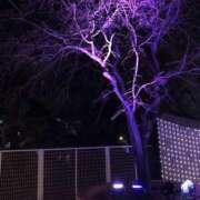 ヒメ日記 2025/07/09 23:25 投稿 うた先生 女教師