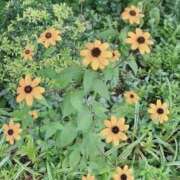 ヒメ日記 2025/07/14 09:55 投稿 うた先生 女教師