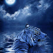 ヒメ日記 2025/07/14 20:30 投稿 うた先生 女教師