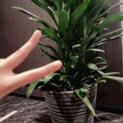 ヒメ日記 2025/07/16 18:45 投稿 うた先生 女教師