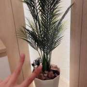 ヒメ日記 2025/07/17 01:05 投稿 うた先生 女教師