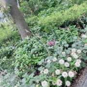 ヒメ日記 2025/08/25 12:35 投稿 うた先生 女教師