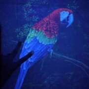 ヒメ日記 2025/08/31 17:45 投稿 うた先生 女教師