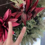 ヒメ日記 2025/09/05 23:25 投稿 うた先生 女教師