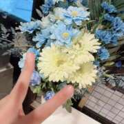 ヒメ日記 2025/09/09 11:45 投稿 うた先生 女教師