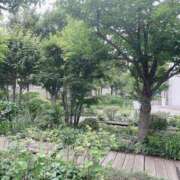 ヒメ日記 2025/09/10 00:35 投稿 うた先生 女教師