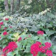 ヒメ日記 2025/09/12 00:25 投稿 うた先生 女教師