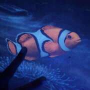 ヒメ日記 2025/10/13 13:30 投稿 うた先生 女教師