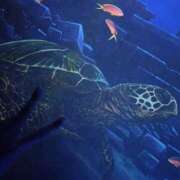 ヒメ日記 2025/10/13 22:45 投稿 うた先生 女教師