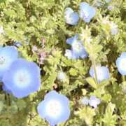 ヒメ日記 2026/03/31 09:20 投稿 えるぜ もしも素敵な妻が指輪をはずしたら・・・